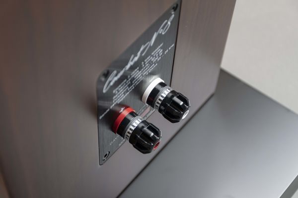 Davis Acoustics Courbet N°8 Noyer : Connectique