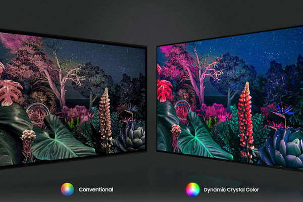 Samsung UE65AU8075 : technologie Dynamic Crystal Color